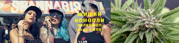 крисы Вязьма