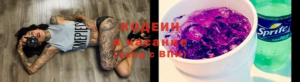 крисы Вязьма