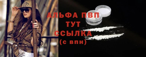 крисы Вязьма