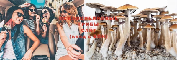 крисы Вязьма