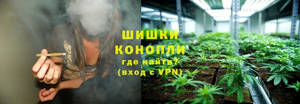 крисы Вязьма